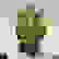 item-72320901=2