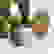 item-72320901=5