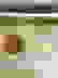 item-72320920=4