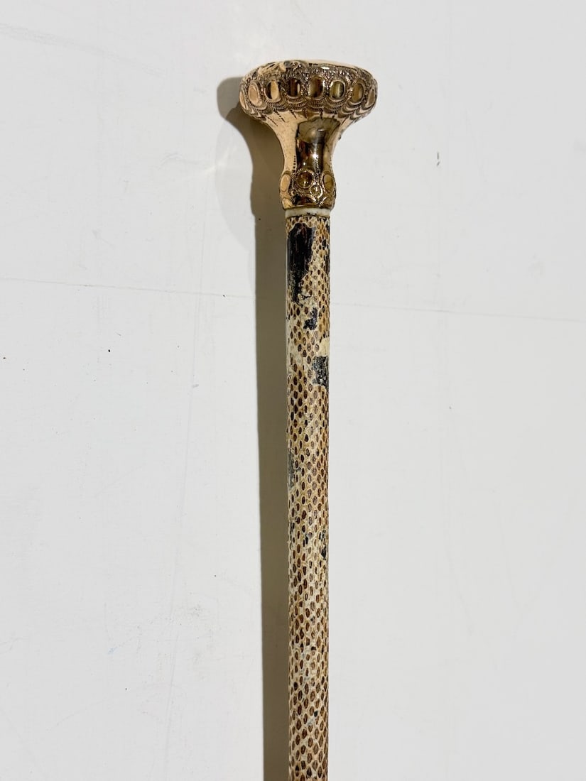 Presentation Cane- Snake Skin On Shaft. C1890: 33.5" . Bone Ferrule.