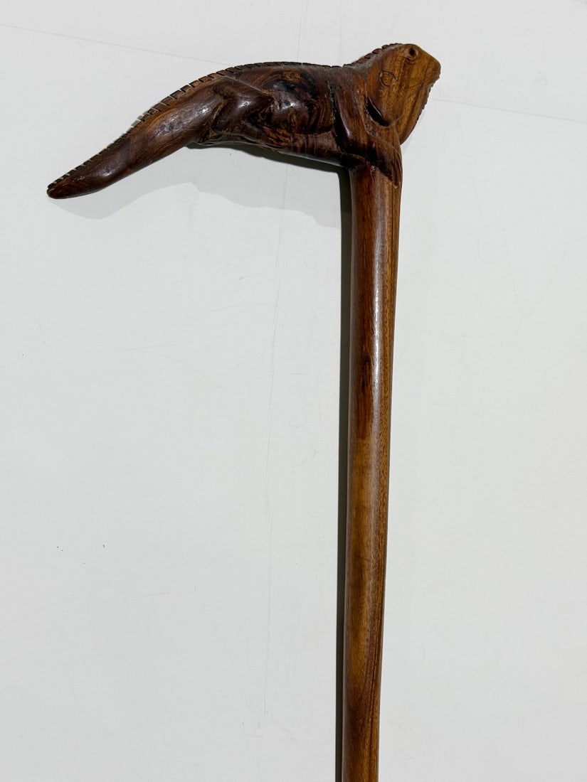 Folk Art Cane - Carved Iguana,  C1900 (1 of 3)