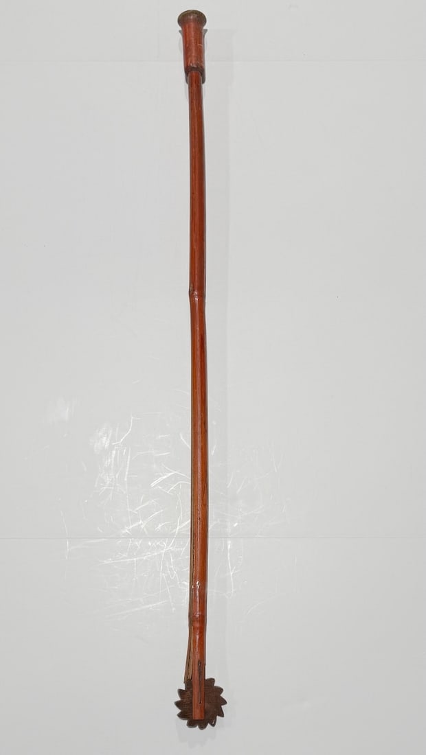 Gadget Political Parade Cane. Horn In The Handle And Clicker. Quite Rare. C 1896 (1 of 4)