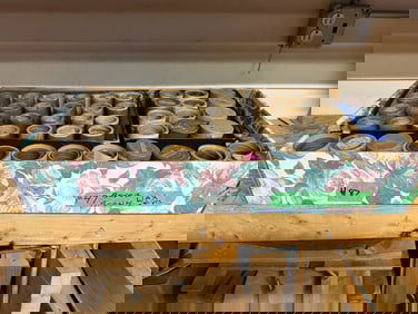 Brown Wax Cylinder Records