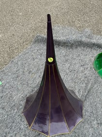 Excellent Morning Glory Horn