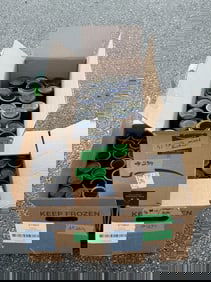 155 Cylinder Records