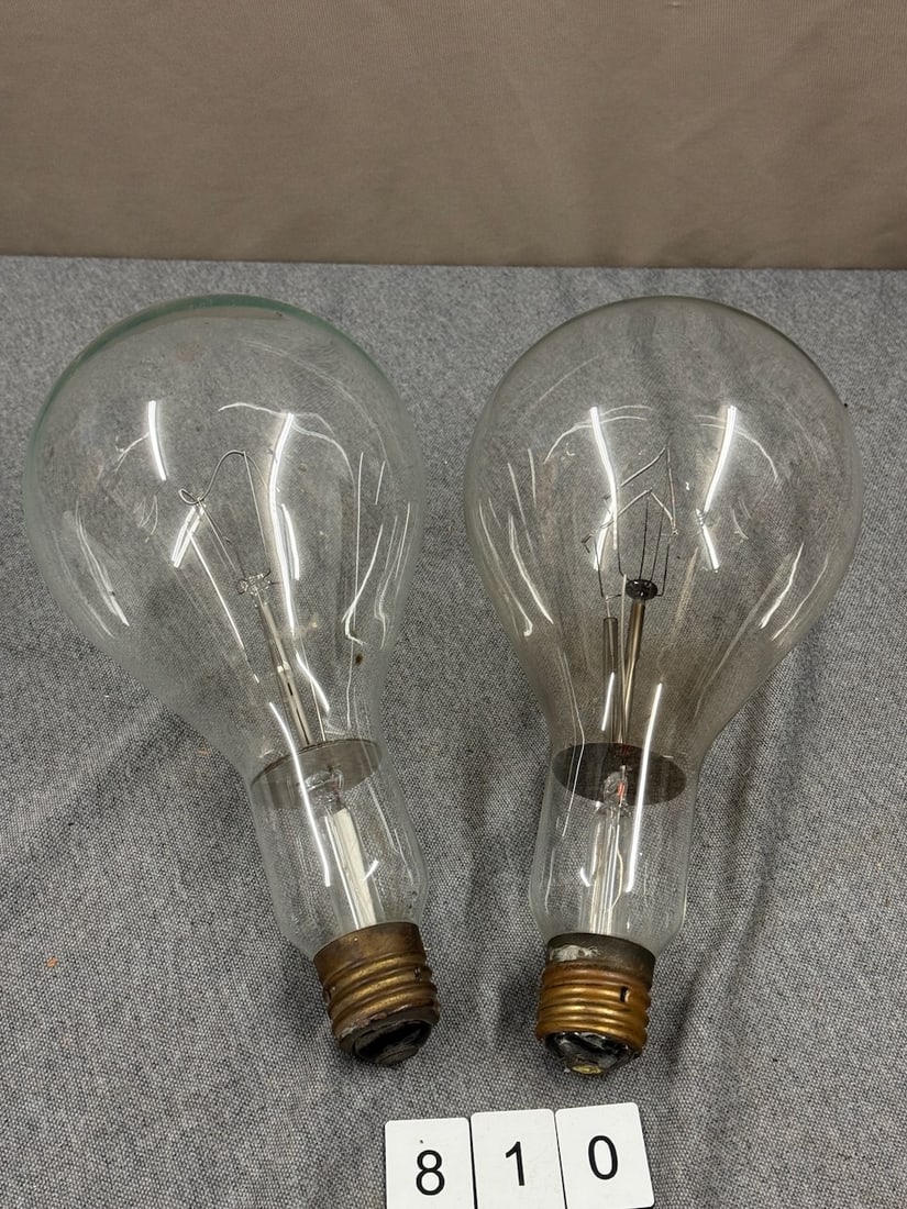 2 Large bulbs: 12" long