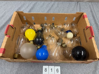 25 Bulbs