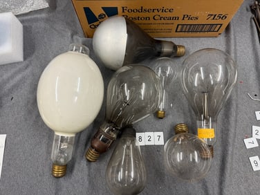 Group of Bulbs