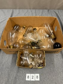 Group of Bulbs