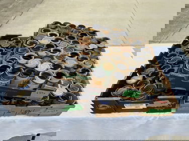 141 Cylinder Records