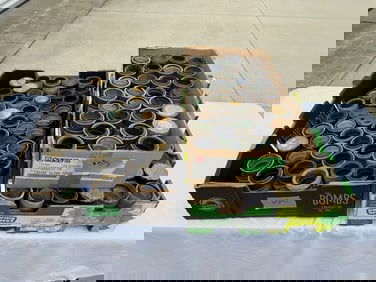 133 Cylinder Records