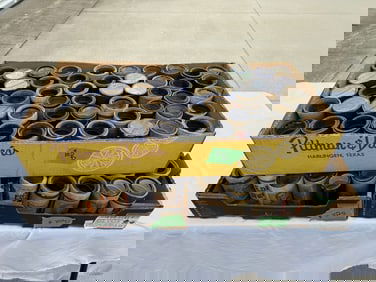 136 Cylinder Records