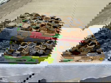 143 Cylinder Records