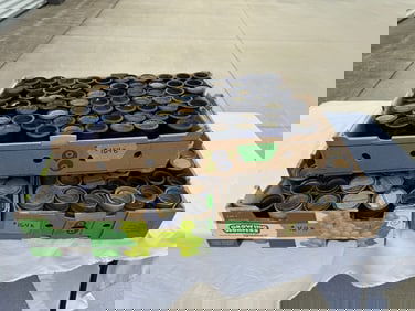 177 Cylinder Records