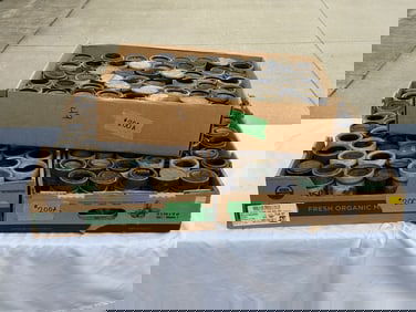 148 Cylinder Records