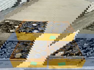152 Cylinder Records