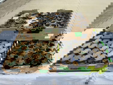 168 Cylinder Records