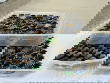 152 Cylinder Records