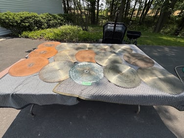 (15) 20-3/4" Regina Music Discs
