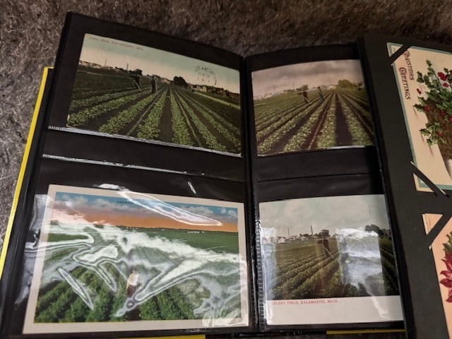 3 Post Card Albums (1 of 1)