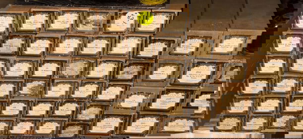 Player Piano and Organ Rolls