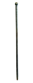 Governor Green Michigan Campaign Walking Cane