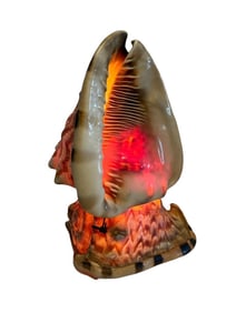 Sea Shell Electric Lamp