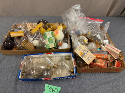 Group of Light Bulbs: One lot.