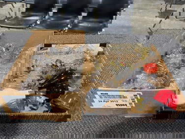 Group of Light Bulbs