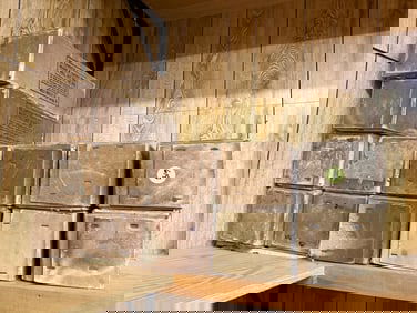 12 Mills Violano rolls