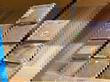 10 Mills Violano Rolls