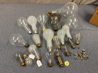 Group of Various Light Bulbs