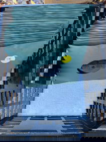 Group of Edison Diamond Disc Records