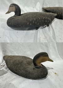 Two Duck Decoys