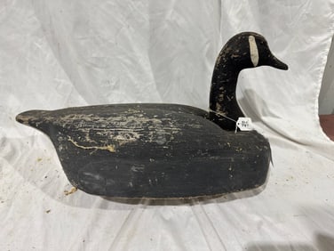 A Goose Decoy