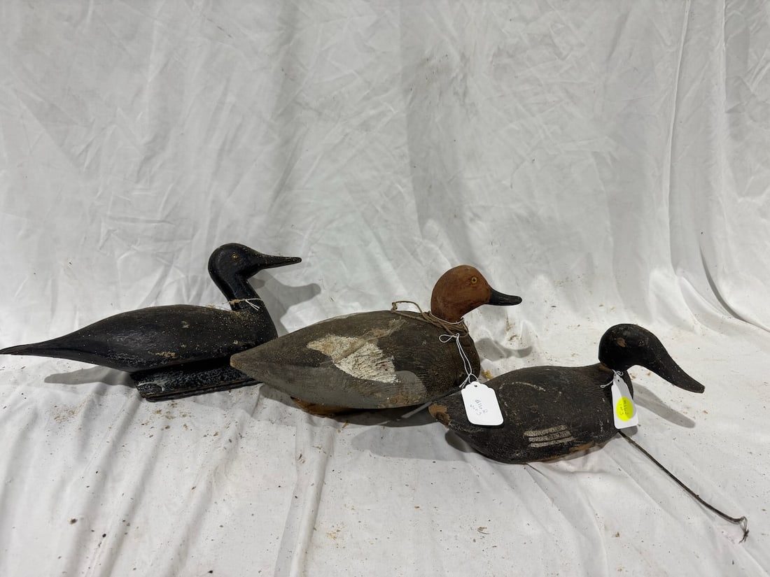 3 Carved Decoys: Sample example measures 17" x 8" x 9"