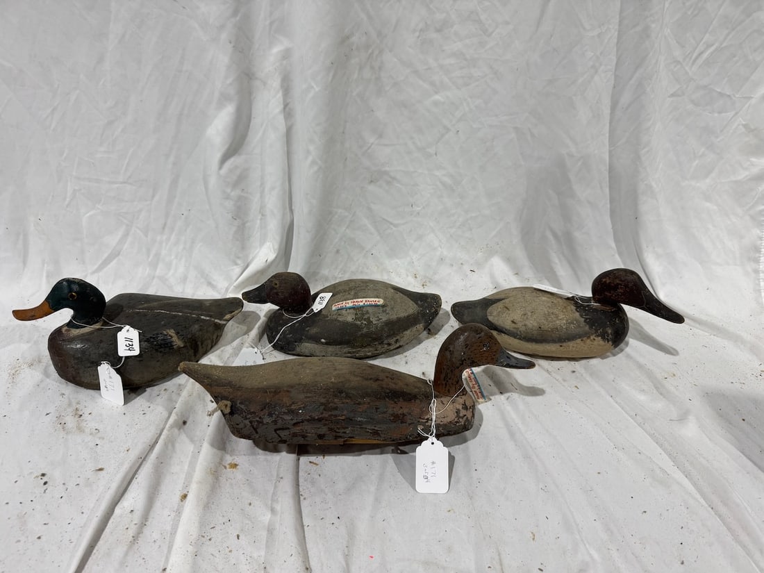 4 Duck Decoys: Largest measures 19"; 1 is marked having been made by Harold Hansen, circa 1920