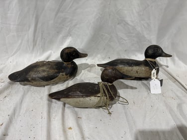 3 Mason Duck Decoys