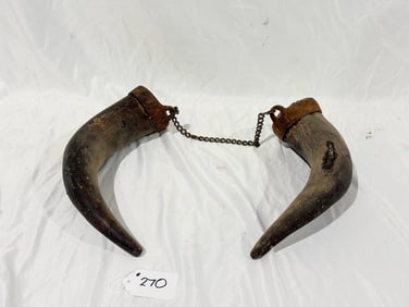 Pair of Cow Horns