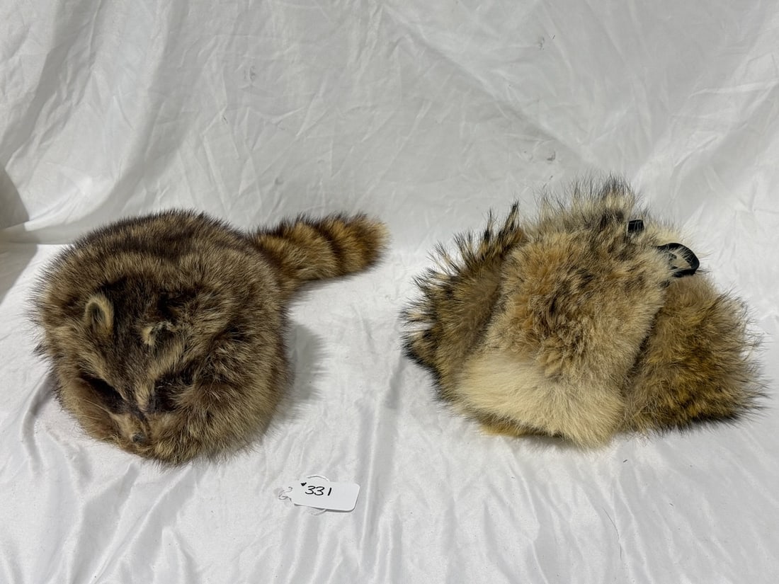 2 Winter Hats: Coon & Wolf