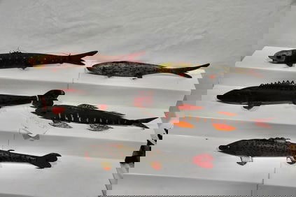 5 Ice Fishing Decoys