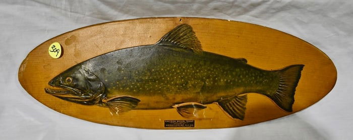 Cardboard Oval Fish Picture