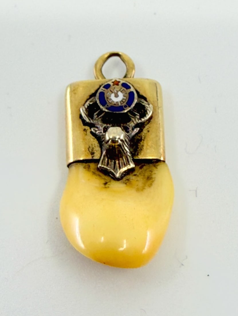 14k Elks Lodge Watch Fob: 14k, with tooth, 2" long. Total Weight 3.6g