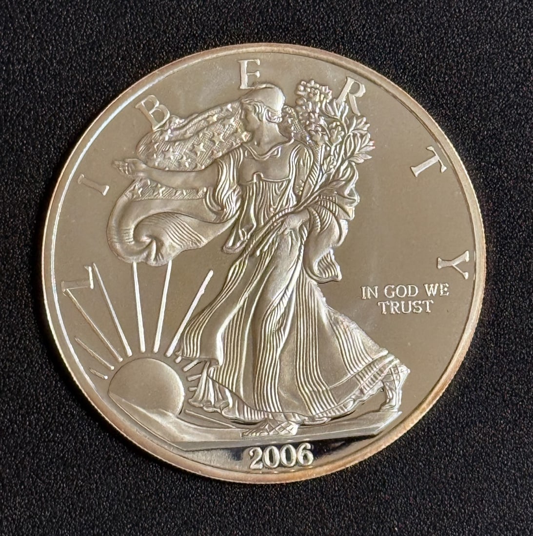 2006 Half Pound .999 Silver American Eagle Coin (1 of 2)