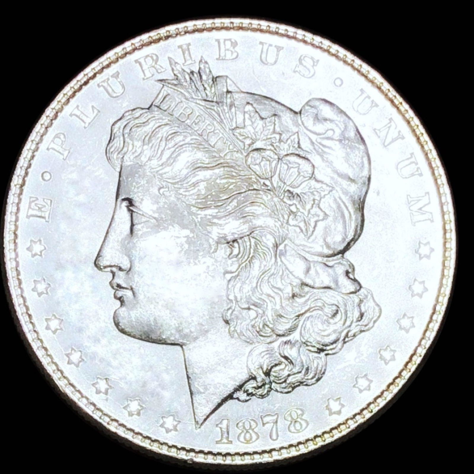1878 8TF Morgan Silver Dollar GEM BU PL (1 of 2)