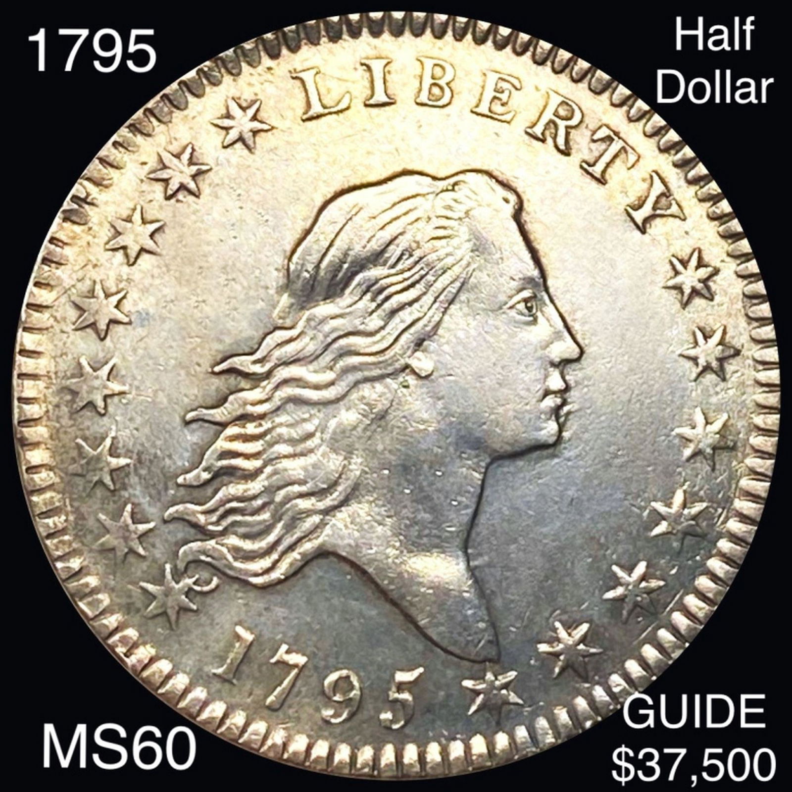 1795 Flowing Hair Half Dollar UNCIRCULATED (1 of 2)