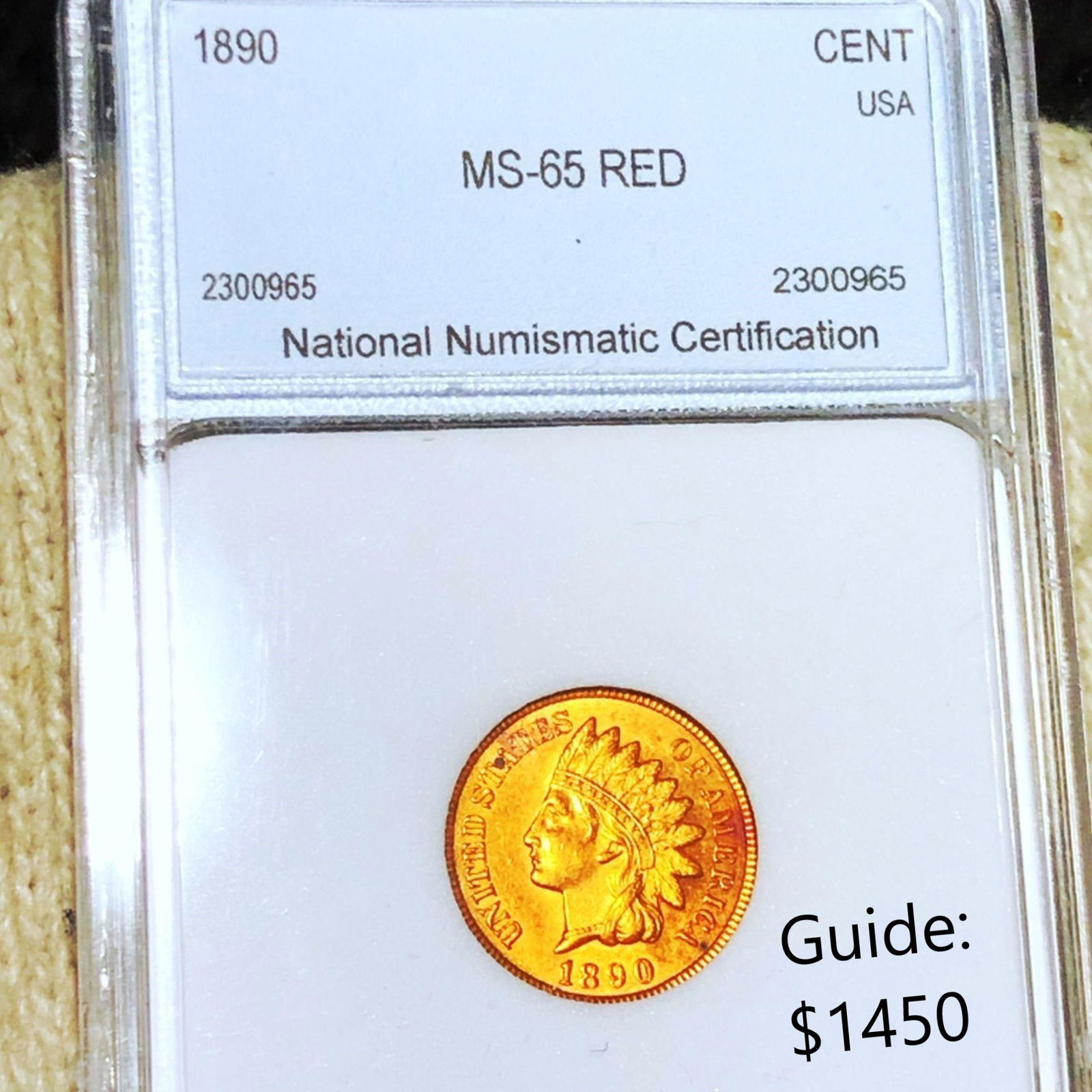 1890 Indian Head Penny NNC - MS 65 RED (1 of 2)