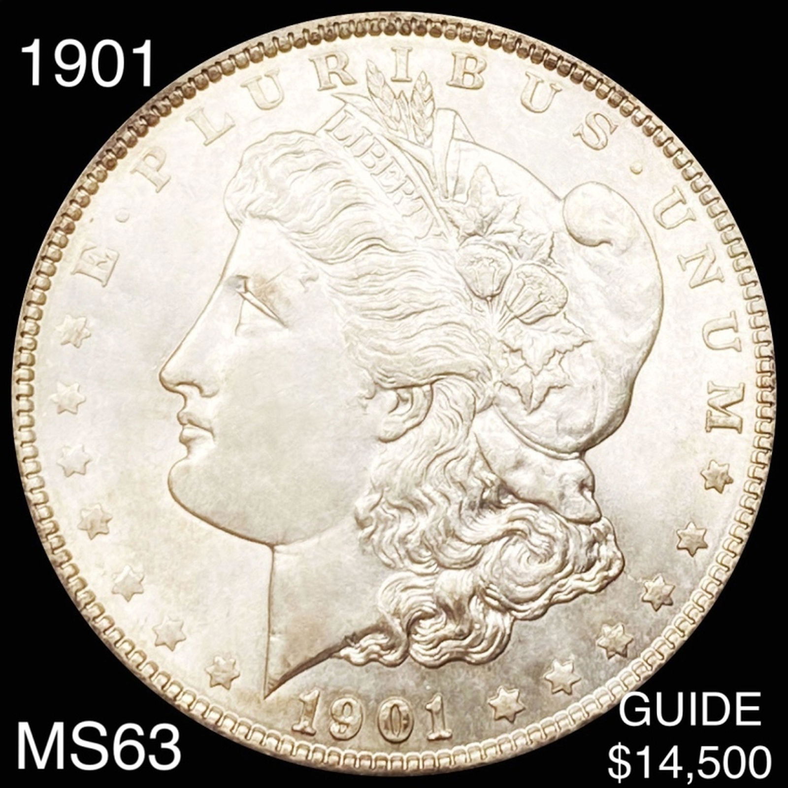 1901 Morgan Silver Dollar CHOICE BU (1 of 2)