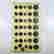 item-113051206=2