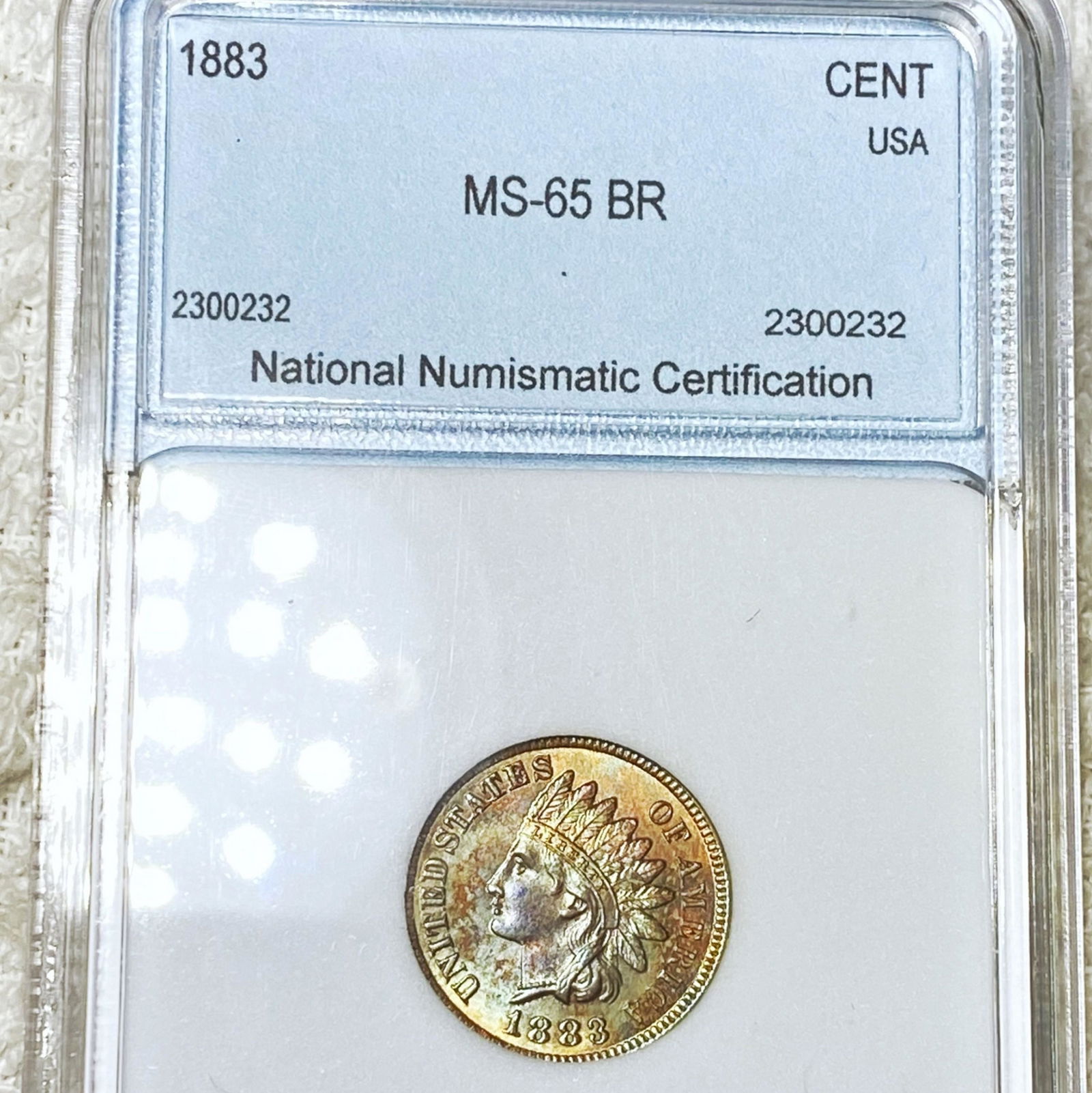 1883 Indian Head Penny NNC - MS 65 BR (1 of 2)